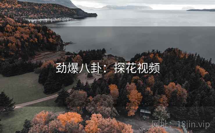 劲爆八卦：探花视频