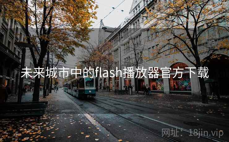 未来城市中的flash播放器官方下载